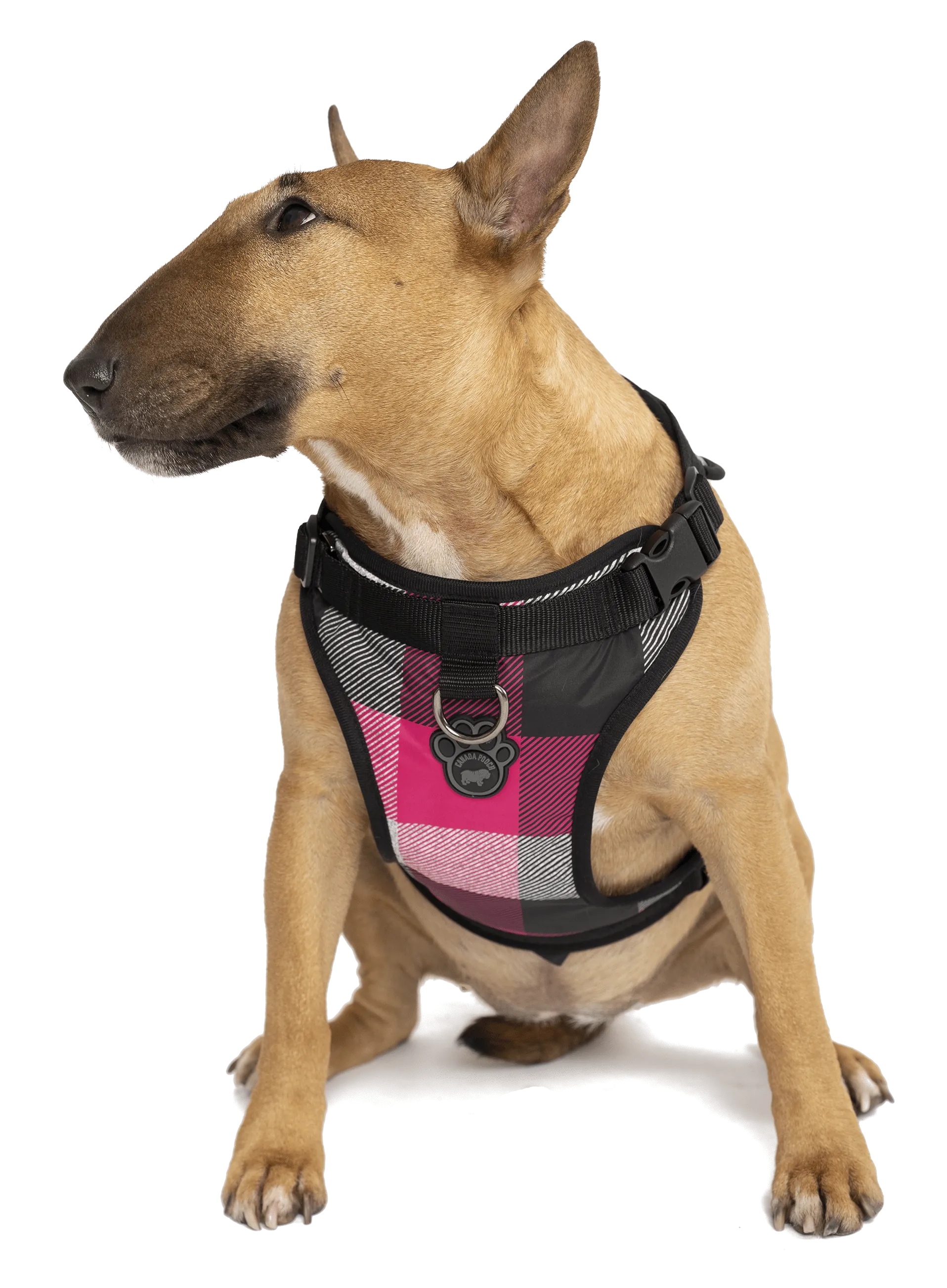 Canada Pooch Everything Harness Water-Resistant Series Pink Plaid Harness for Dogs