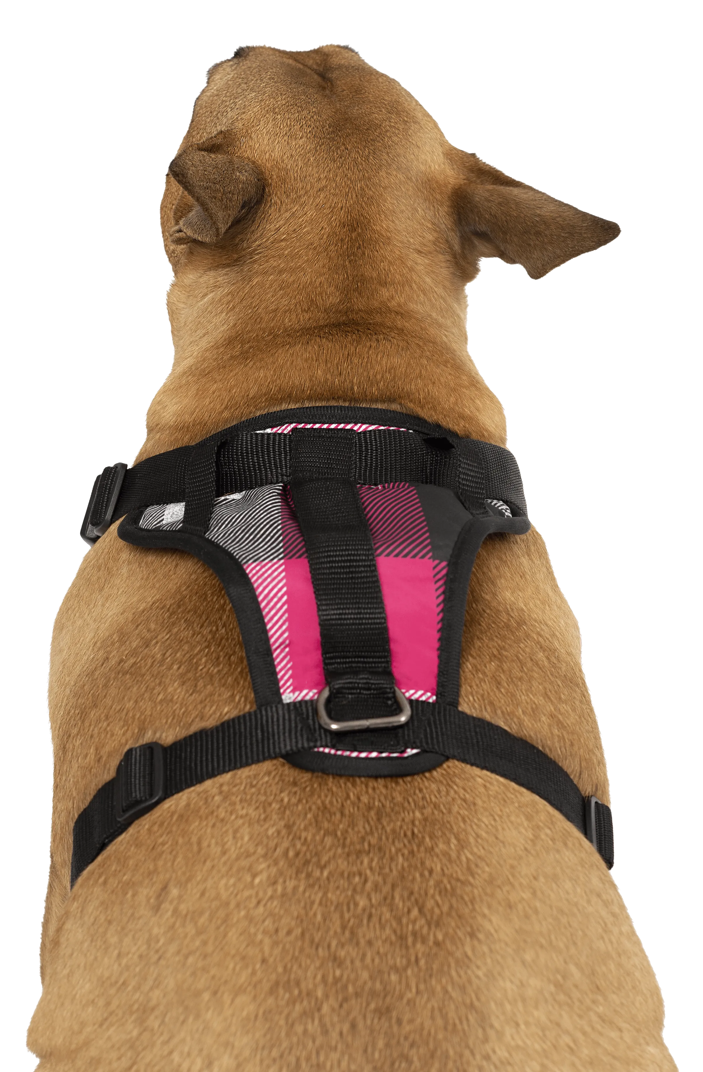 Canada Pooch Everything Harness Water-Resistant Series Pink Plaid Harness for Dogs