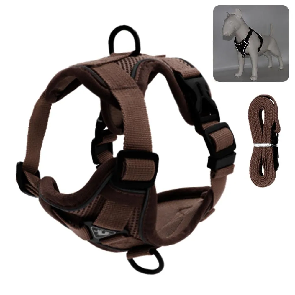 Adventure-Ready Cat Leash and Harness Set – Comfortable, Adjustable, and Secure for Outdoor Explorations