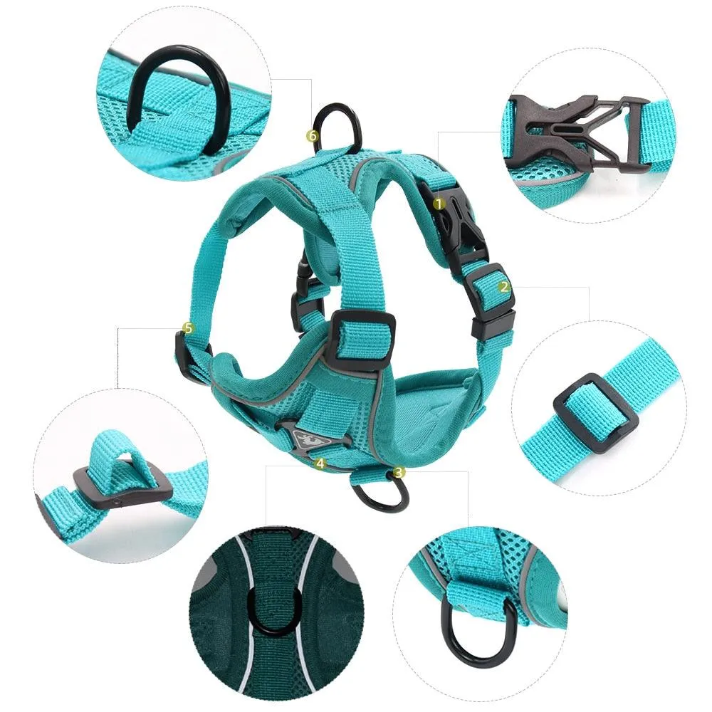 Adventure-Ready Cat Leash and Harness Set – Comfortable, Adjustable, and Secure for Outdoor Explorations