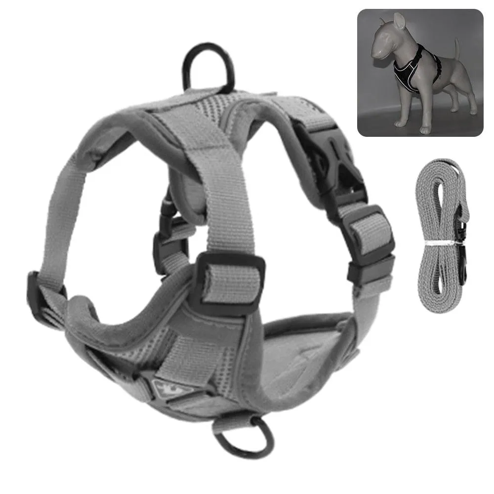 Adventure-Ready Cat Leash and Harness Set – Comfortable, Adjustable, and Secure for Outdoor Explorations