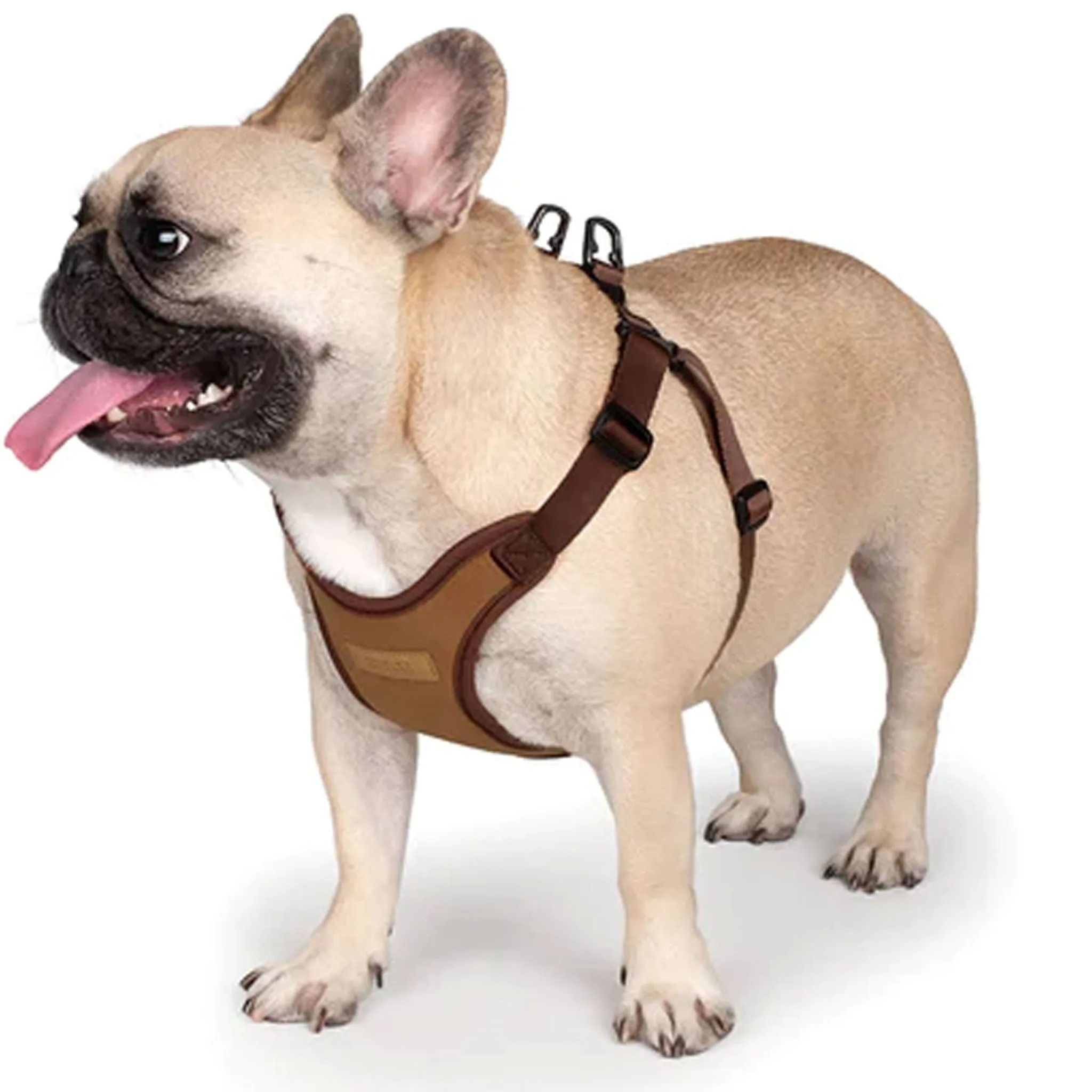 Charlie's Backyard Comfort Dog Harness - Brown