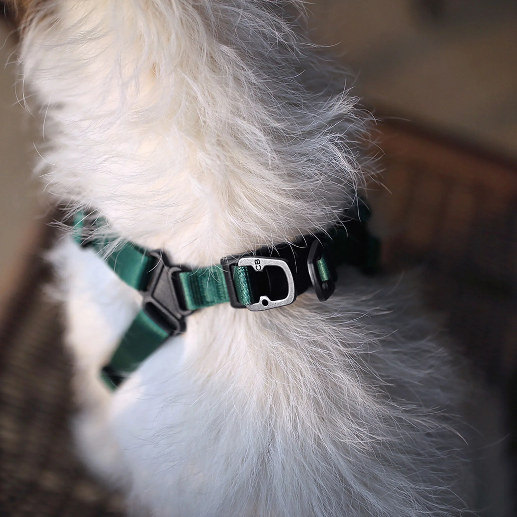 Charlie's Backyard Comfort Dog Harness - Green