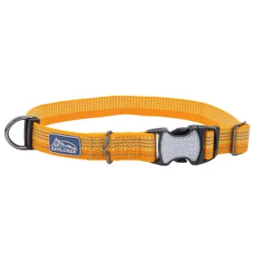 Coastal Pet Products K9 Explorer Brights Reflective Adjustable Dog Collar in Desert