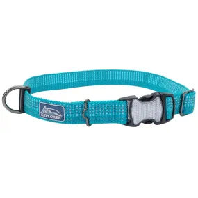 Coastal Pet Products K9 Explorer Brights Reflective Adjustable Dog Collar in Ocean