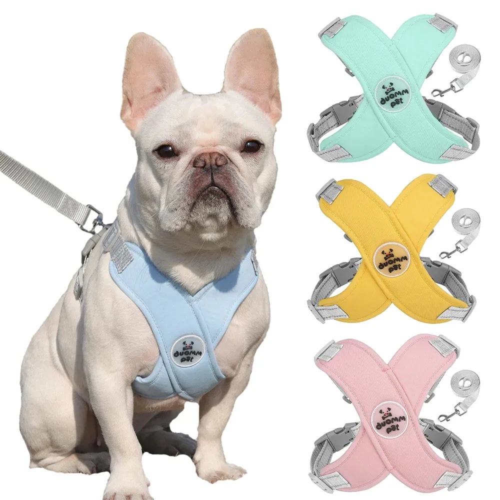 Comfort & Safety Dog Harness and Leash Set for Small to Medium Dogs - Breathable and Adjustable