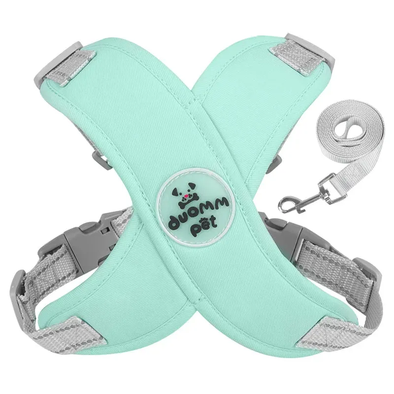 Comfort & Safety Dog Harness and Leash Set for Small to Medium Dogs - Breathable and Adjustable