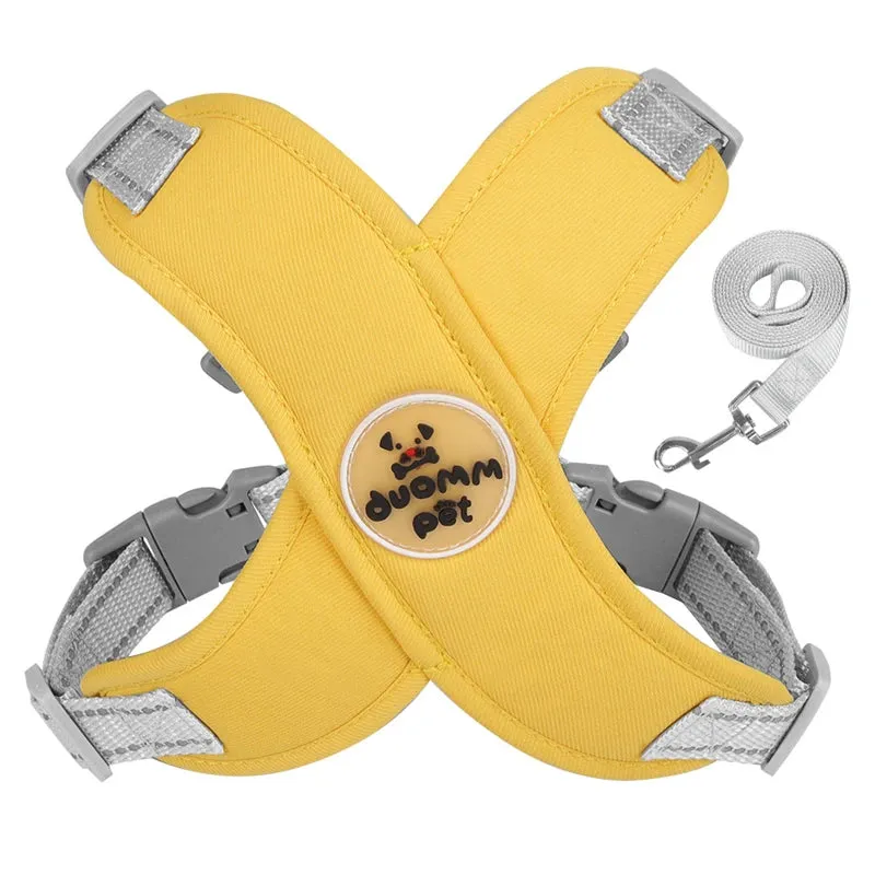 Comfort & Safety Dog Harness and Leash Set for Small to Medium Dogs - Breathable and Adjustable