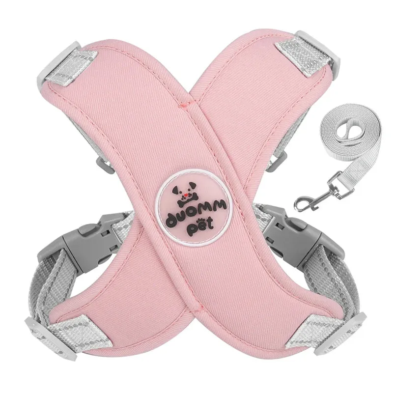 Comfort & Safety Dog Harness and Leash Set for Small to Medium Dogs - Breathable and Adjustable