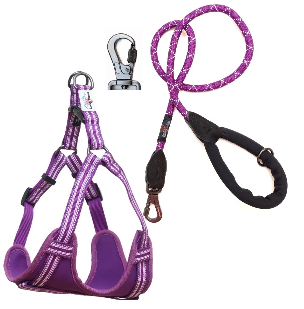 Comfort Screw Lock Rope Lead (120cm) & Reflective Step-in Harness Set