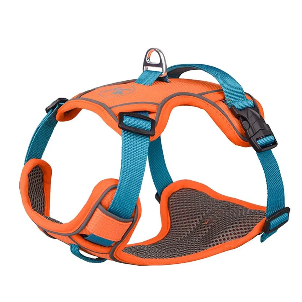 Contrast Color Explosion-Proof Dog Leash and Reflective Vest Harness