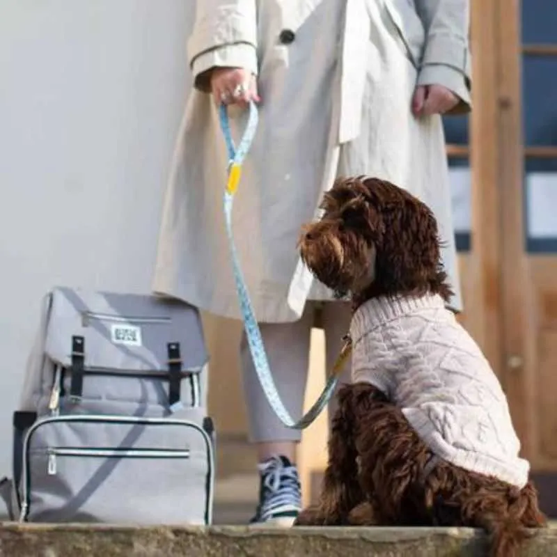 Dog Travel Backpack