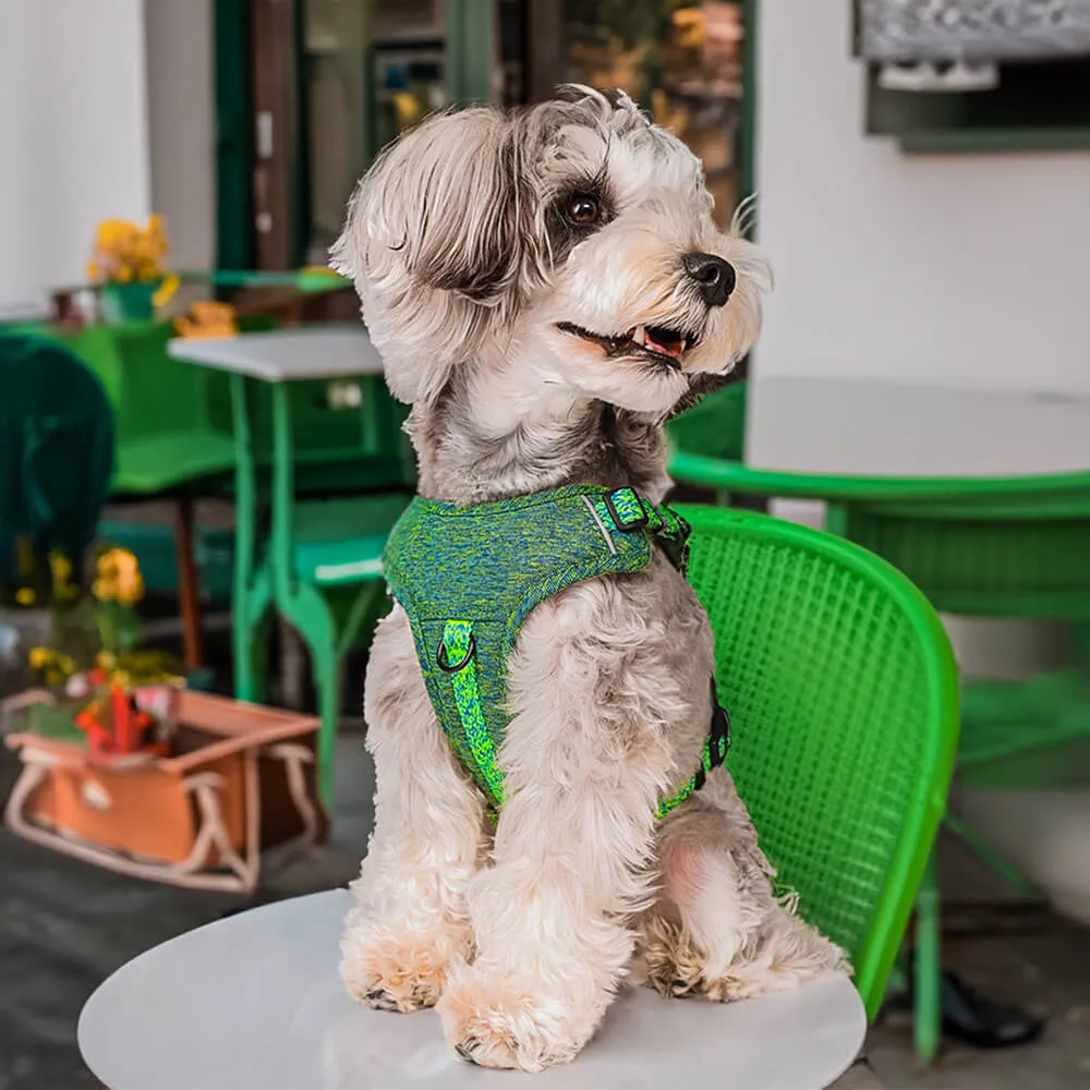 Sustainable No-Pull Dog Harness and Leash Set made from Recycled Fabrics