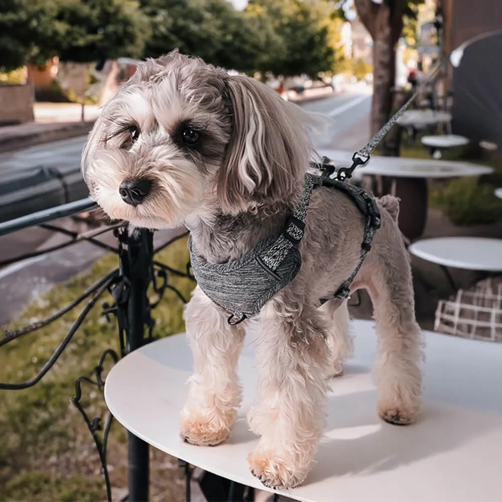 Sustainable No-Pull Dog Harness and Leash Set made from Recycled Fabrics