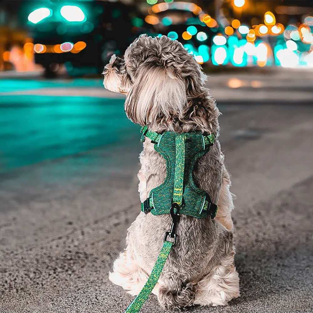 Sustainable No-Pull Dog Harness and Leash Set made from Recycled Fabrics