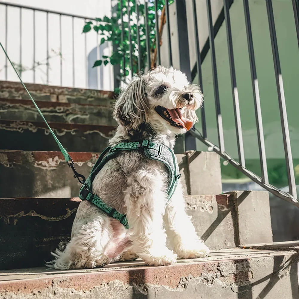 Sustainable No-Pull Dog Harness and Leash Set made from Recycled Fabrics