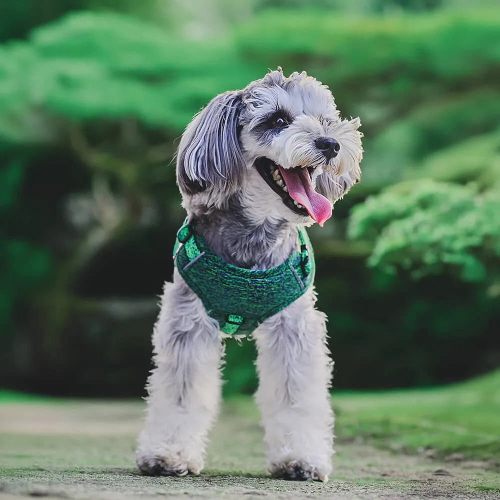 Sustainable No-Pull Dog Harness and Leash Set made from Recycled Fabrics