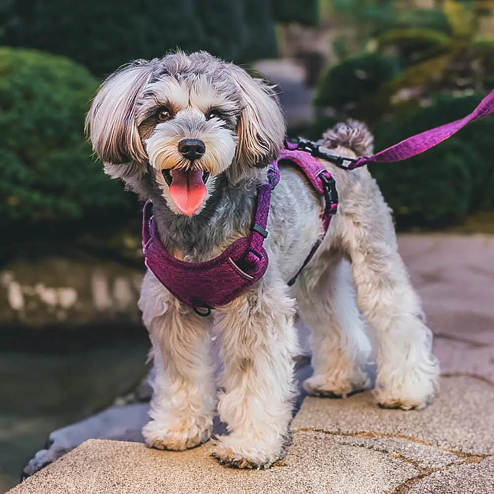 Sustainable No-Pull Dog Harness and Leash Set made from Recycled Fabrics