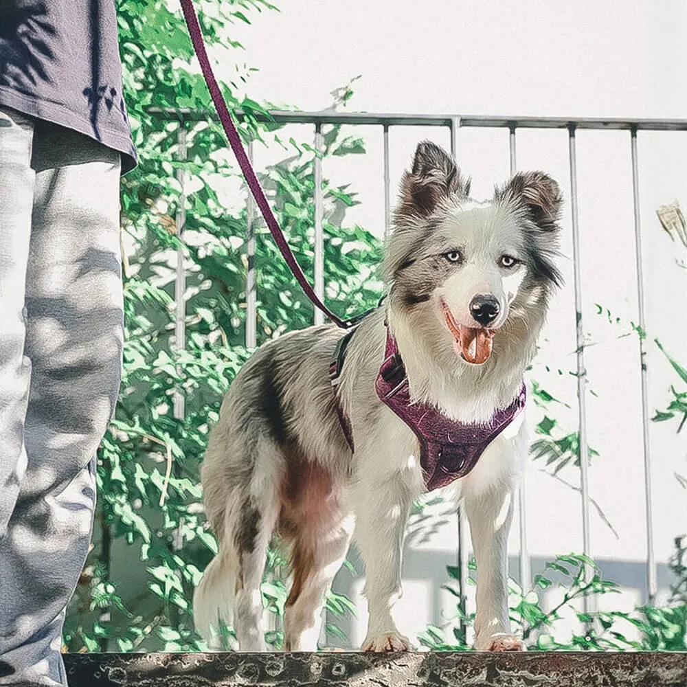 Sustainable No-Pull Dog Harness and Leash Set made from Recycled Fabrics