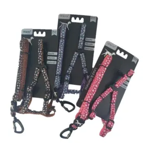 Extra Small Pet Leash & Harness Set - Assorted Colours