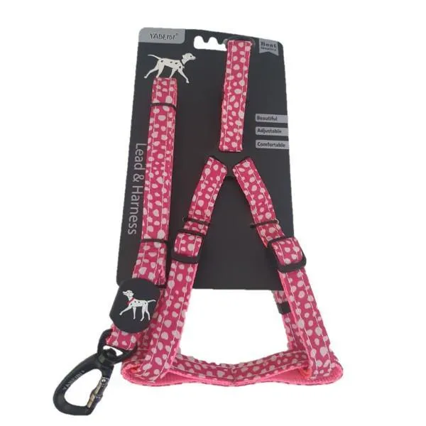 Extra Small Pet Leash & Harness Set - Assorted Colours