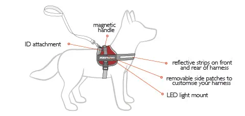 EzyDog Convert Harness - Large