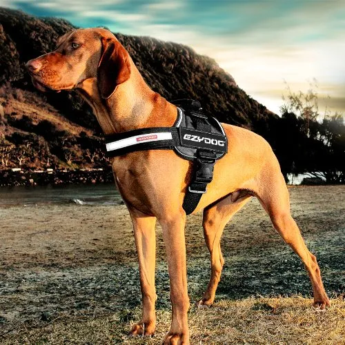 EzyDog Convert Harness - Large