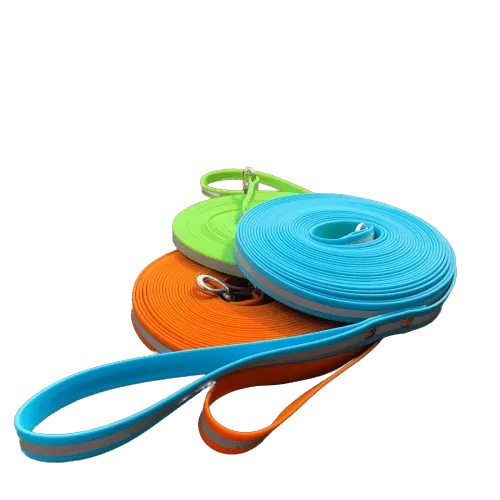 For The Love Of Dogs Long Lines Leash for Dogs (Green)