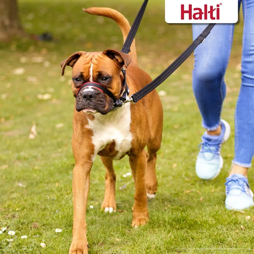 Halti Optifit Dog Headcollar