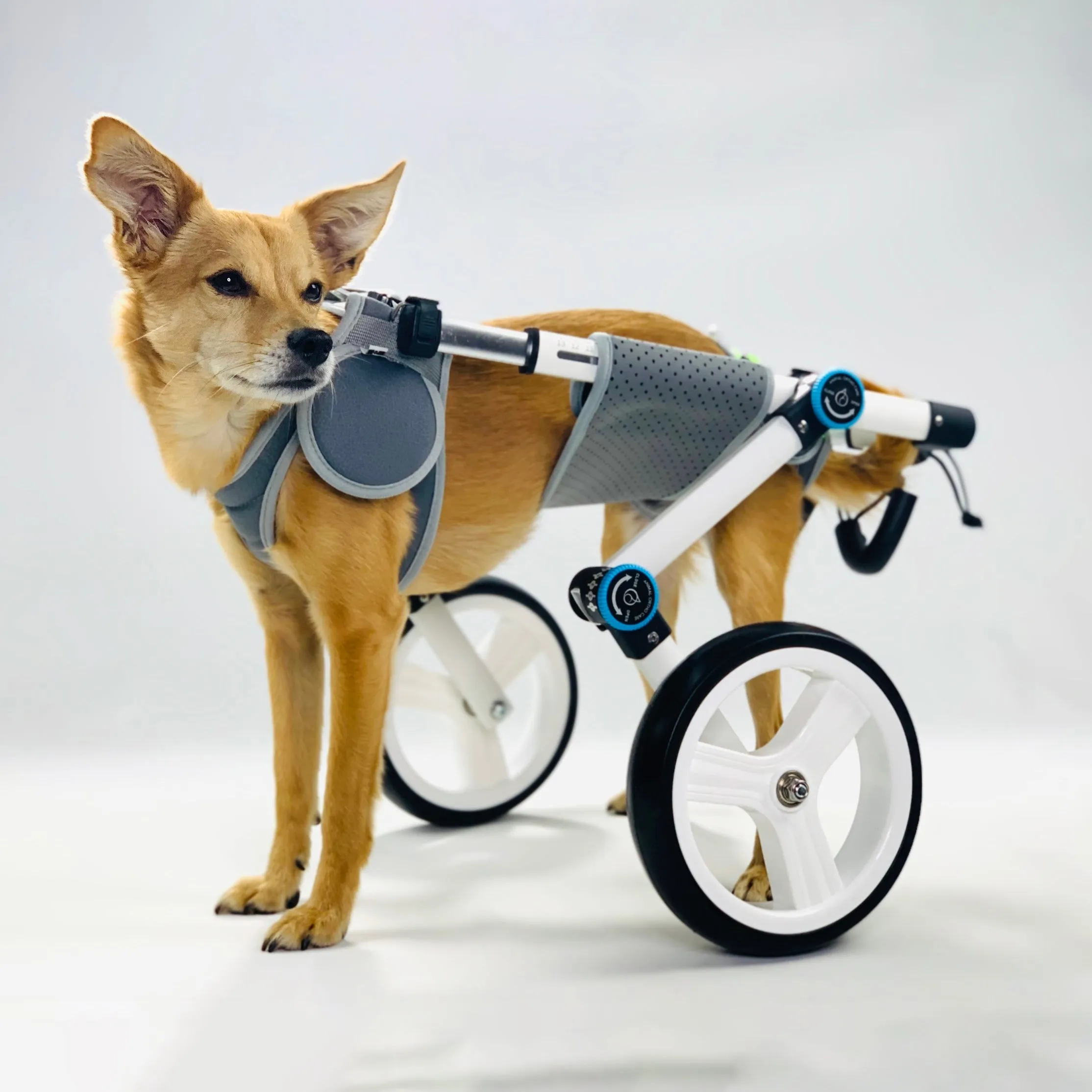 Haute Wheels Dog Wheelchair