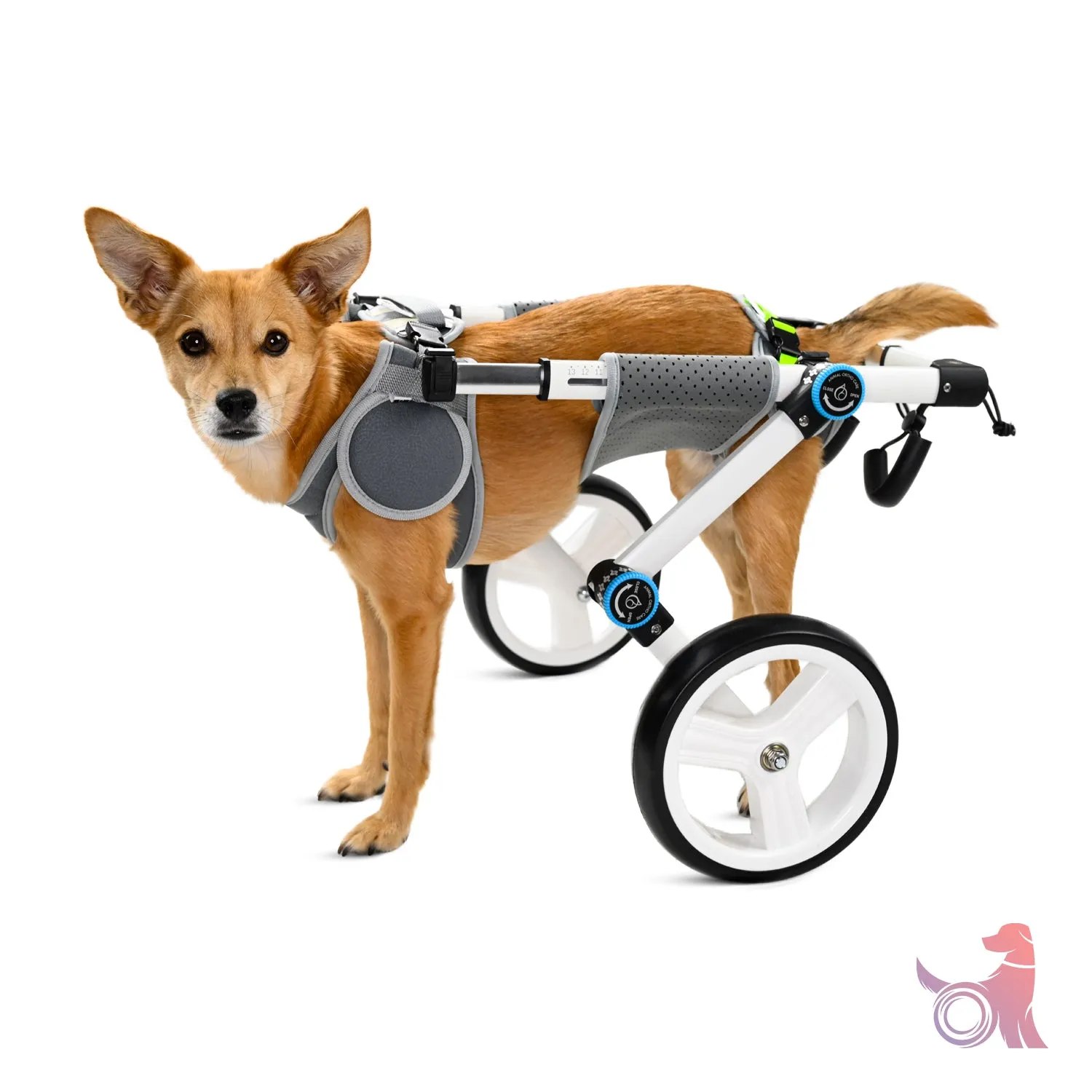 Haute Wheels Dog Wheelchair