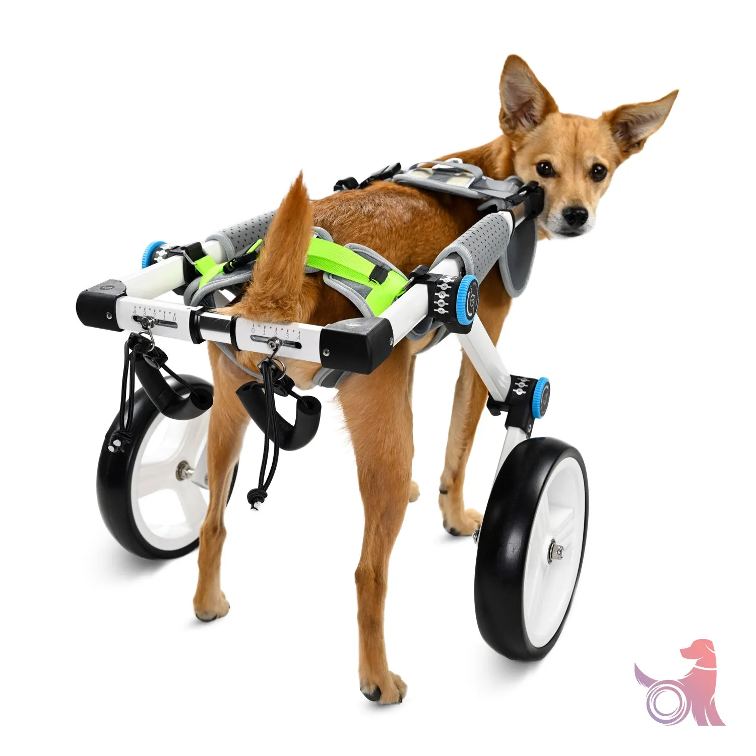 Haute Wheels Dog Wheelchair