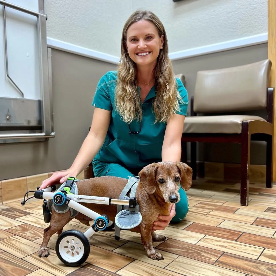 Haute Wheels Dog Wheelchair