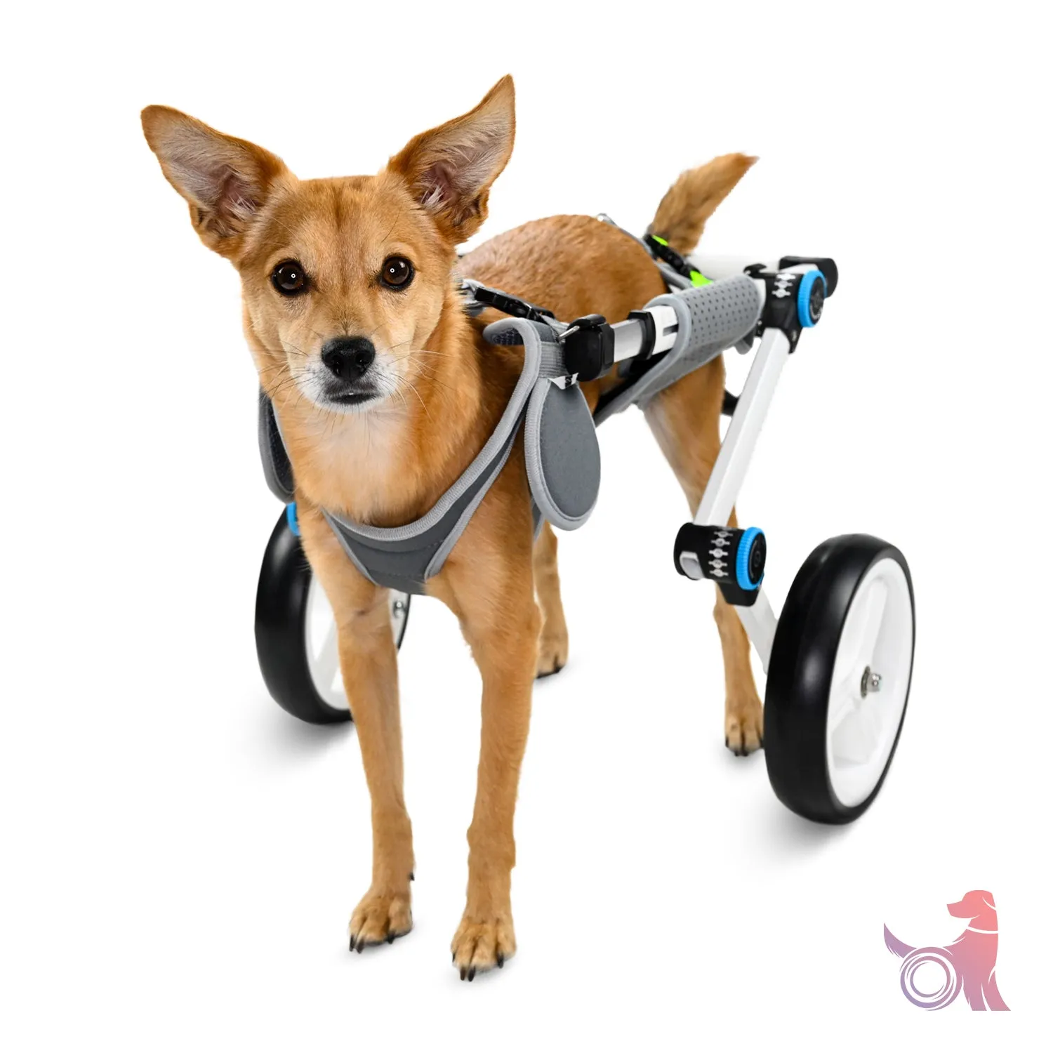 Haute Wheels Dog Wheelchair