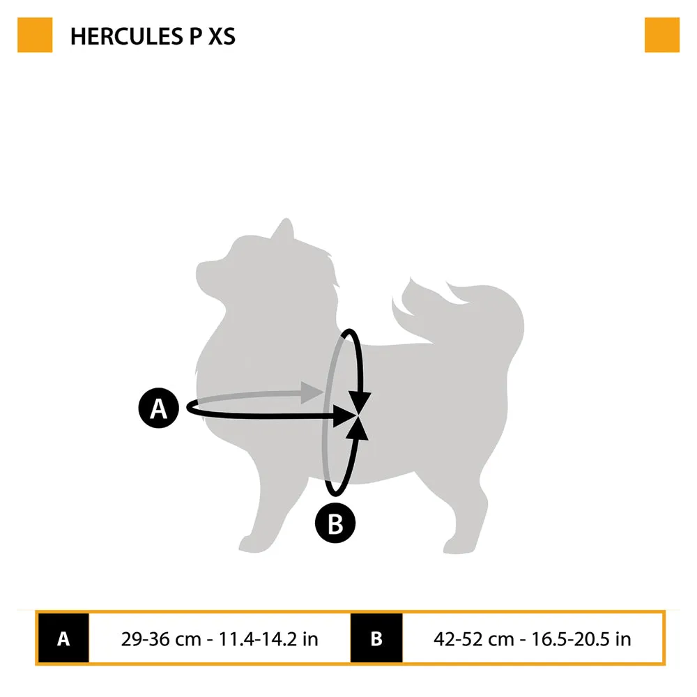 HERCULES P XS