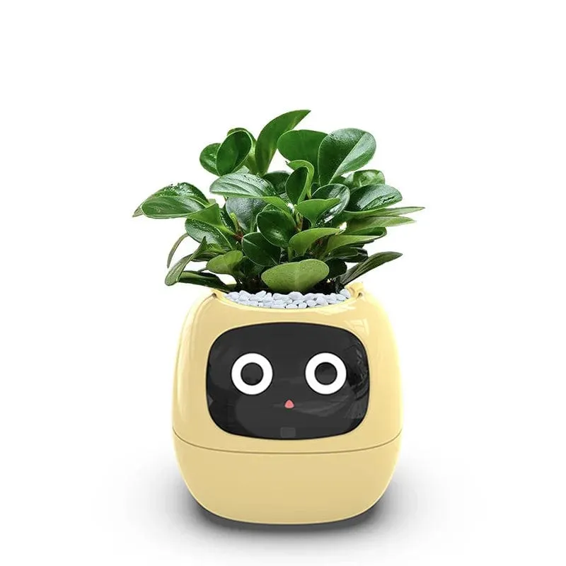 IvyBot: Smart Planter with AI, Over 49 Expressions, 7 Sensors for Effortless and Fun Plant Care