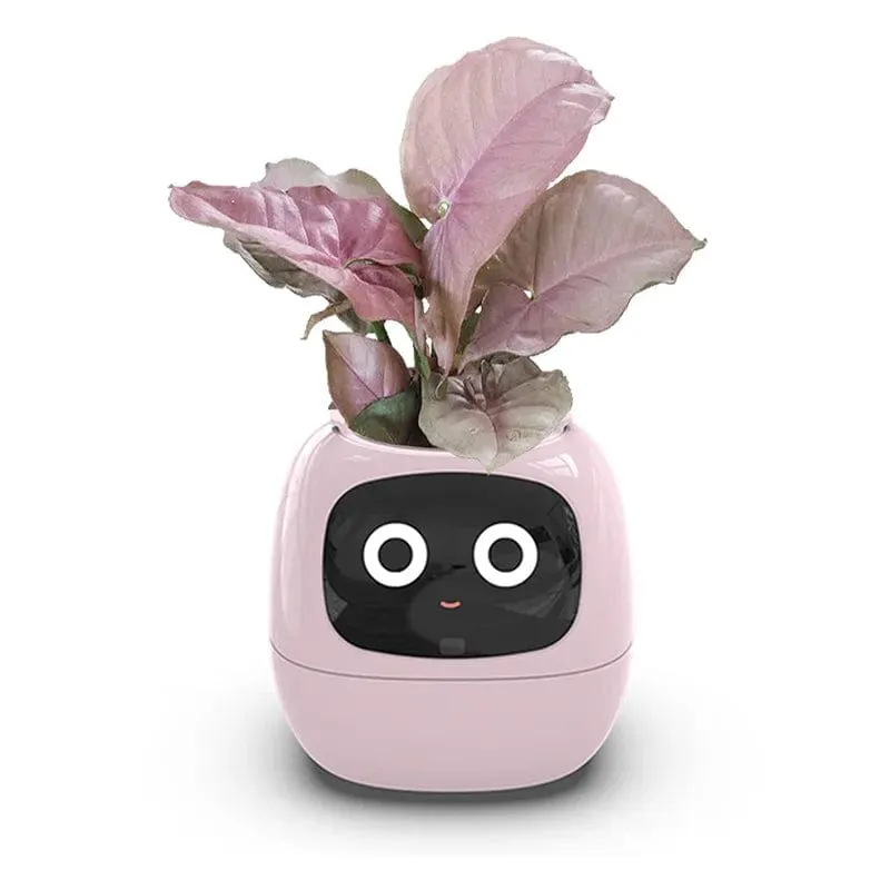 IvyBot: Smart Planter with AI, Over 49 Expressions, 7 Sensors for Effortless and Fun Plant Care