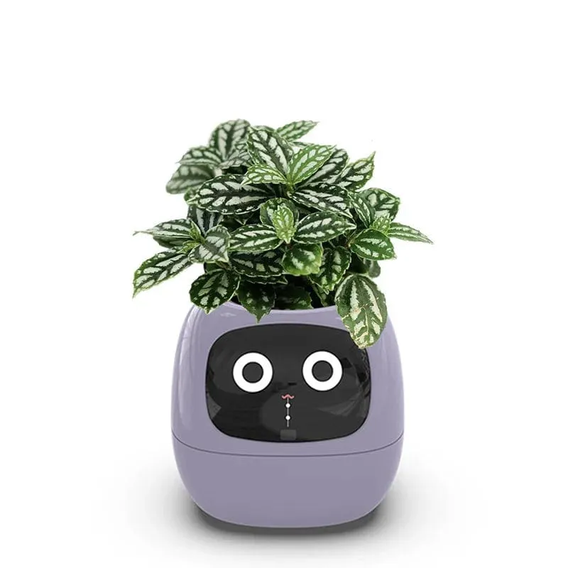 IvyBot: Smart Planter with AI, Over 49 Expressions, 7 Sensors for Effortless and Fun Plant Care