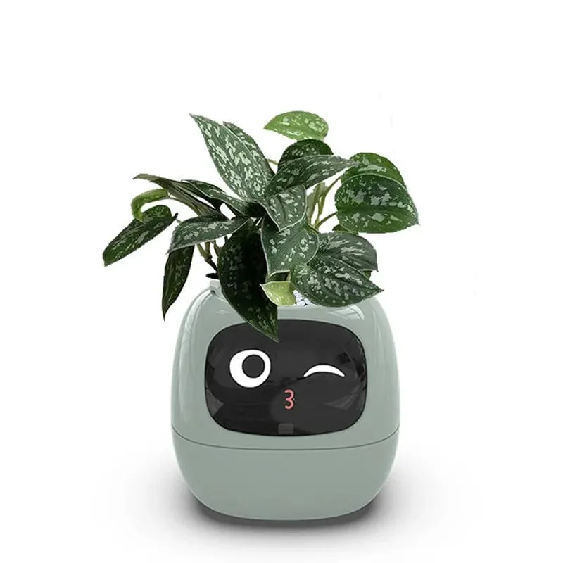 IvyBot: Smart Planter with AI, Over 49 Expressions, 7 Sensors for Effortless and Fun Plant Care