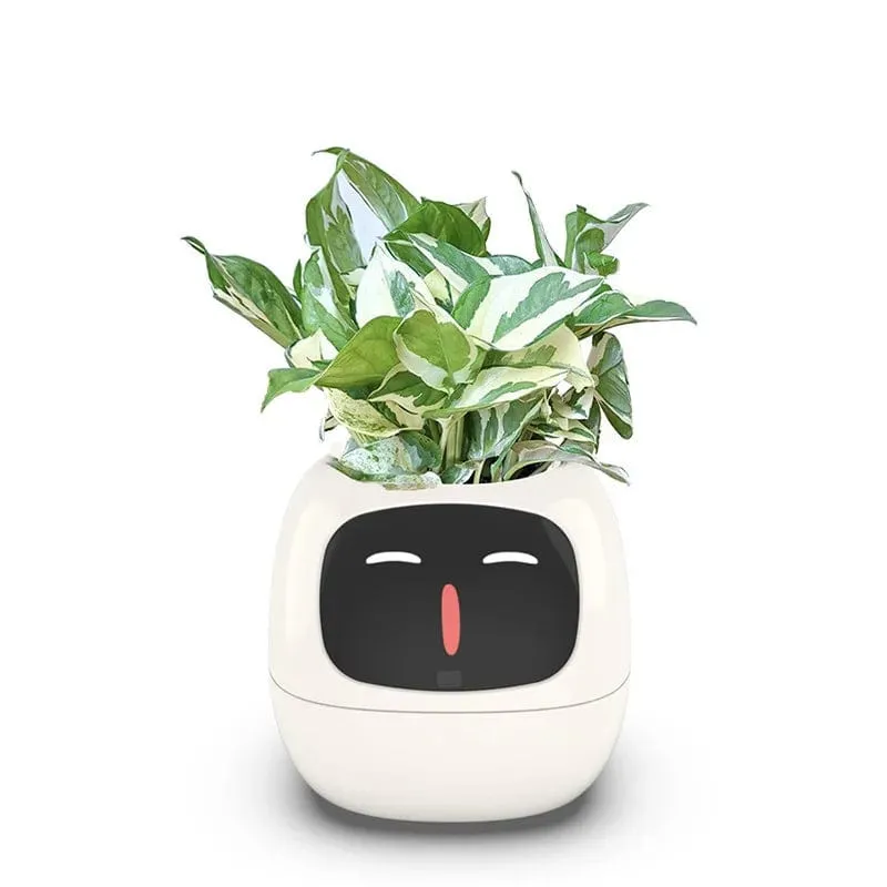 IvyBot: Smart Planter with AI, Over 49 Expressions, 7 Sensors for Effortless and Fun Plant Care