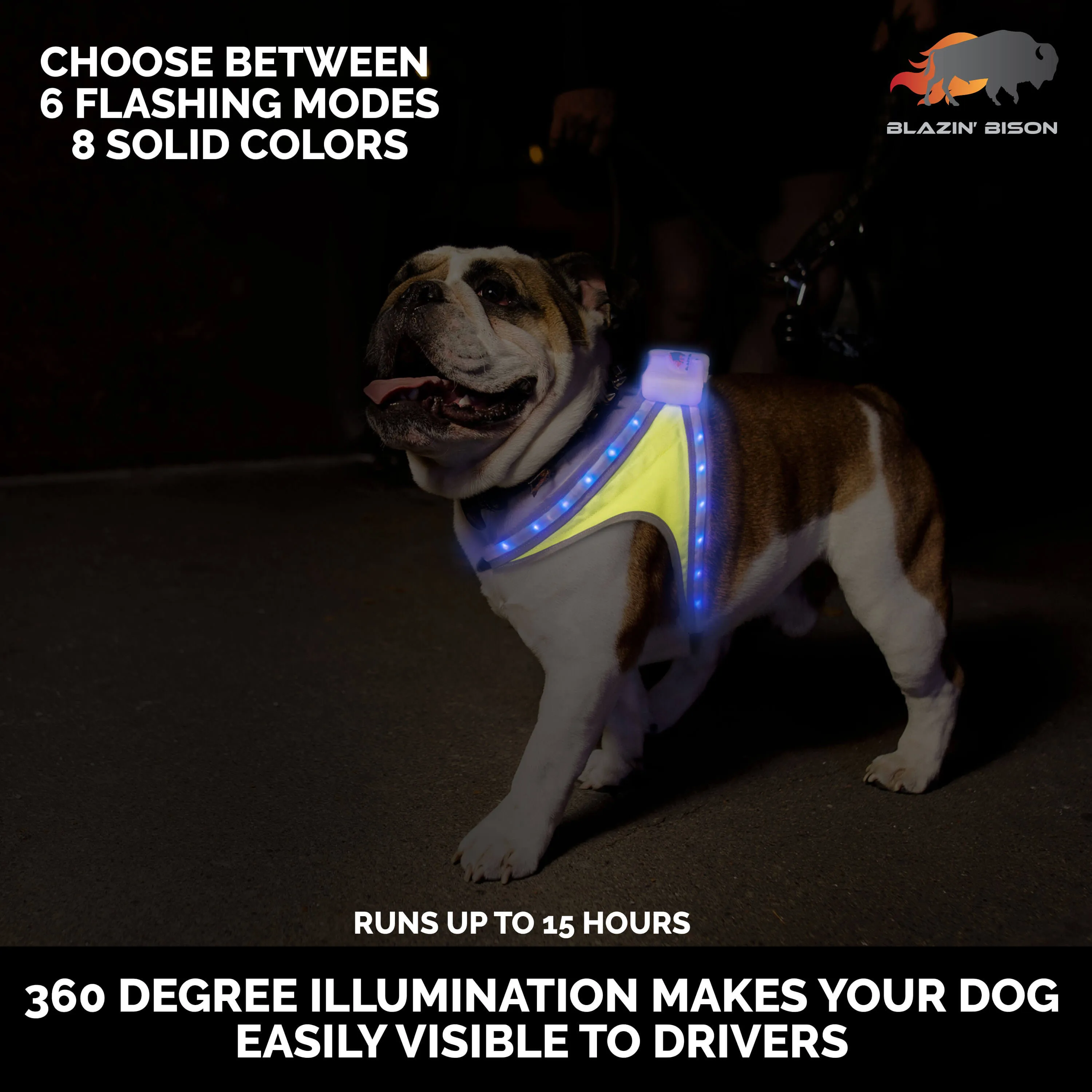 LED Dog Harness