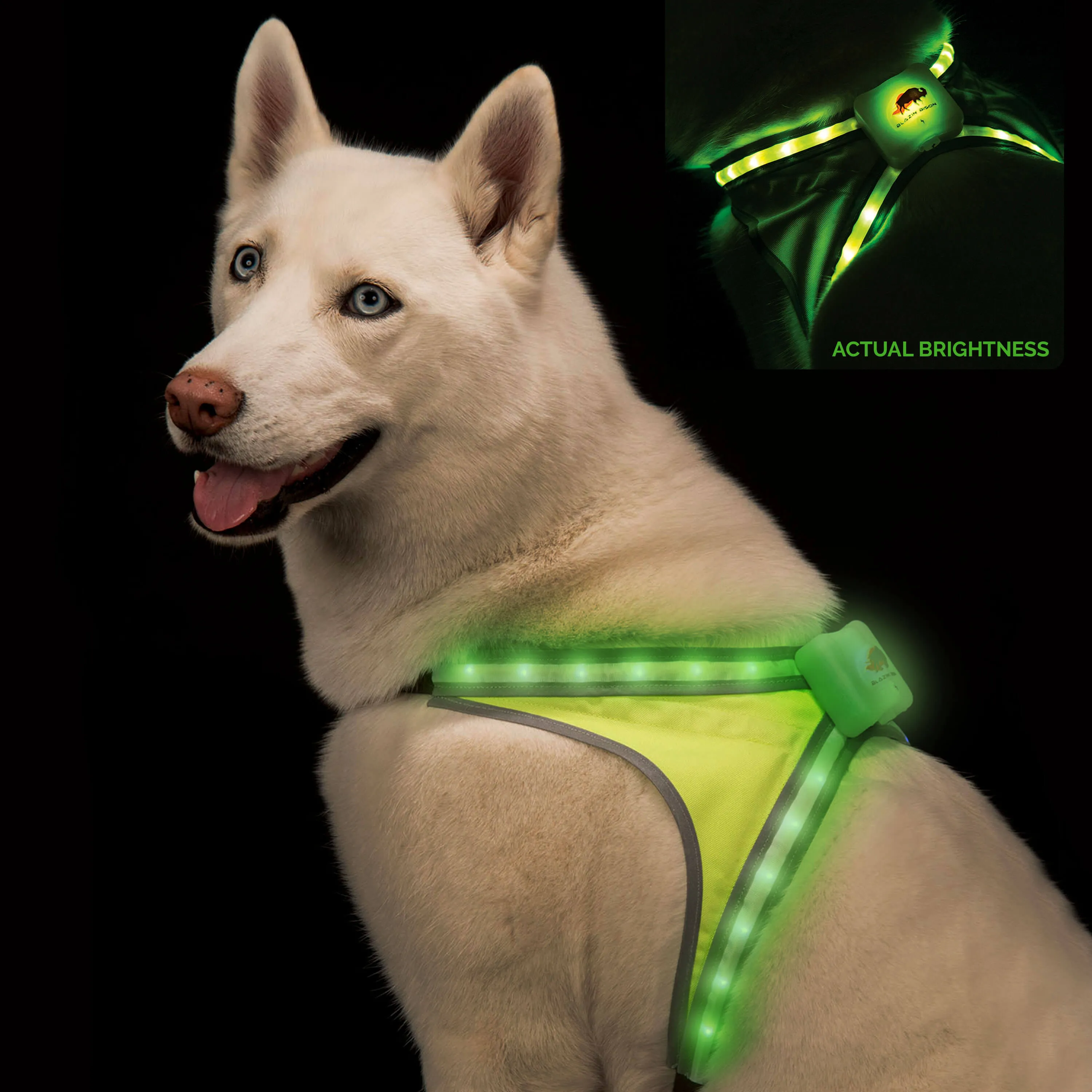 LED Dog Harness