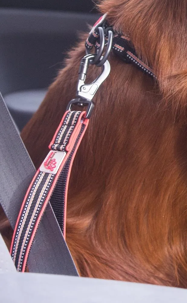 Long Paws Comfort Short Safety Belt / Close Control Lead