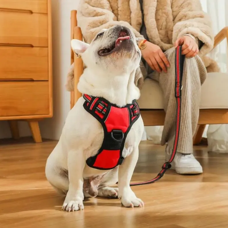 Mr. Peanut's PetTrek Reflective Pet Harness With Matching Leash