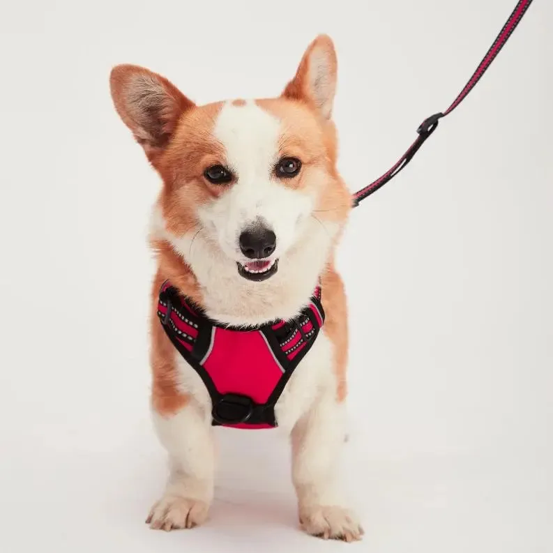 Mr. Peanut's PetTrek Reflective Pet Harness With Matching Leash