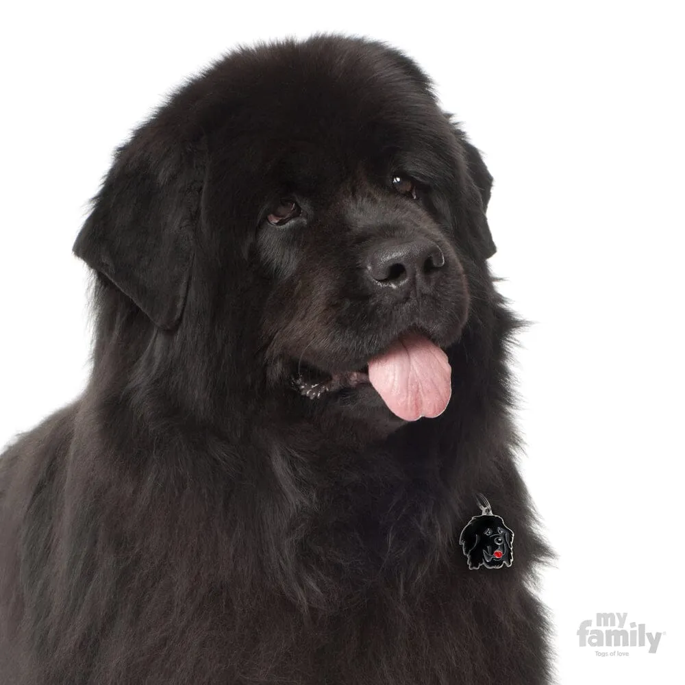 Newfoundland Dog Name Tag