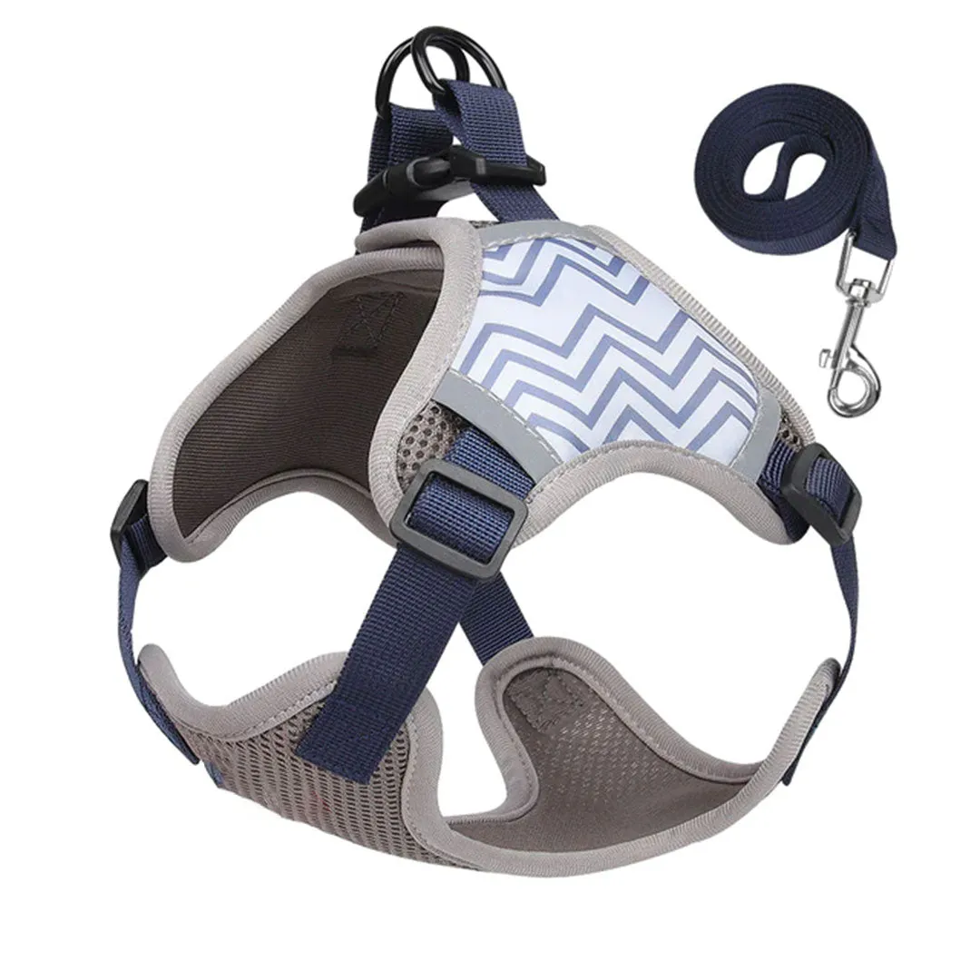 Paws and Patterns Dog Harness and Leash Set