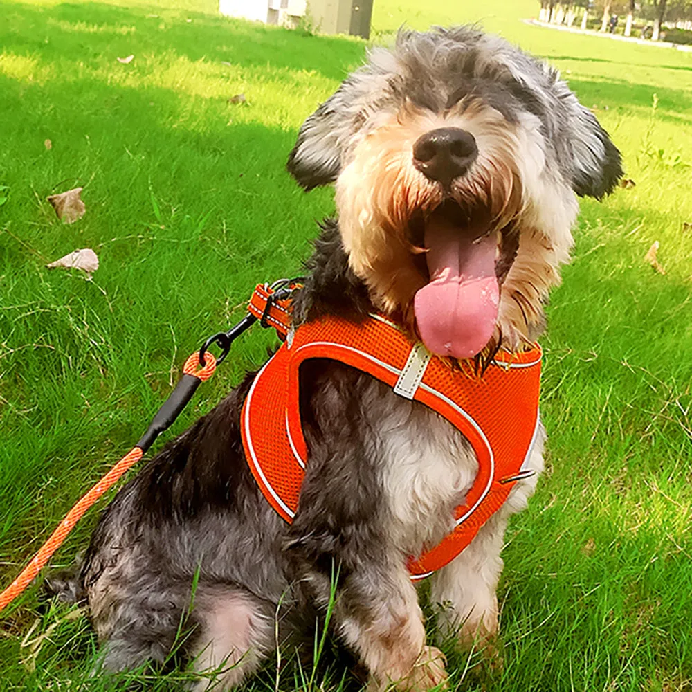 ReflectiPet™ Dog Mesh Vest Harness