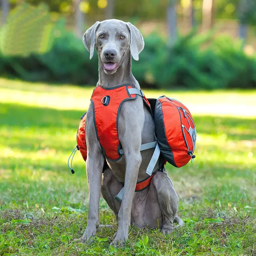 Reflective Dog Backpack Harness for Adventurers