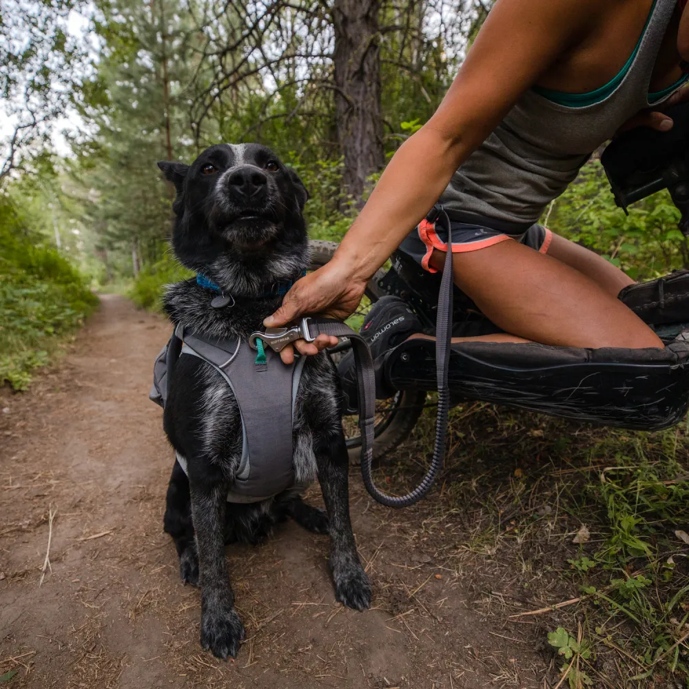 Ruffwear Load Up Harness for Dogs (Obsidian Black)